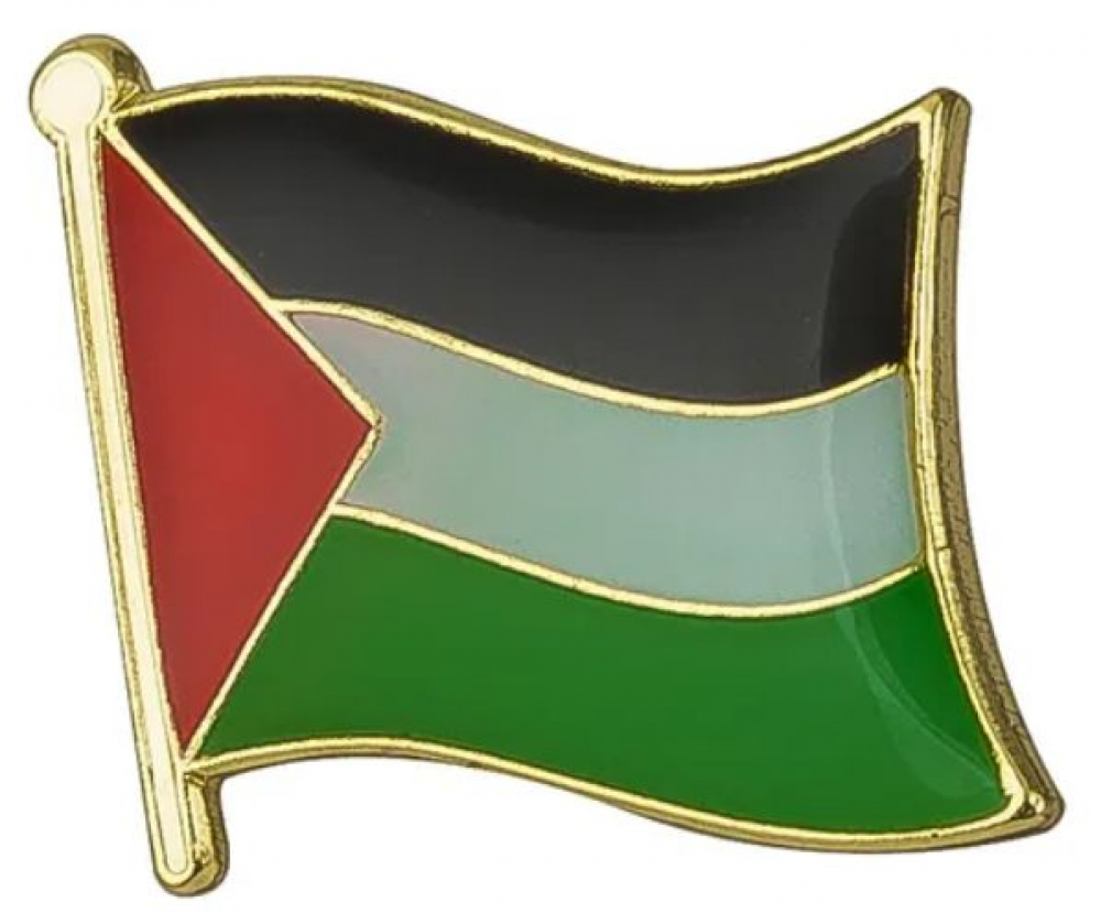 Pin Bandeira Palestina